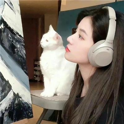 白马的奇迹